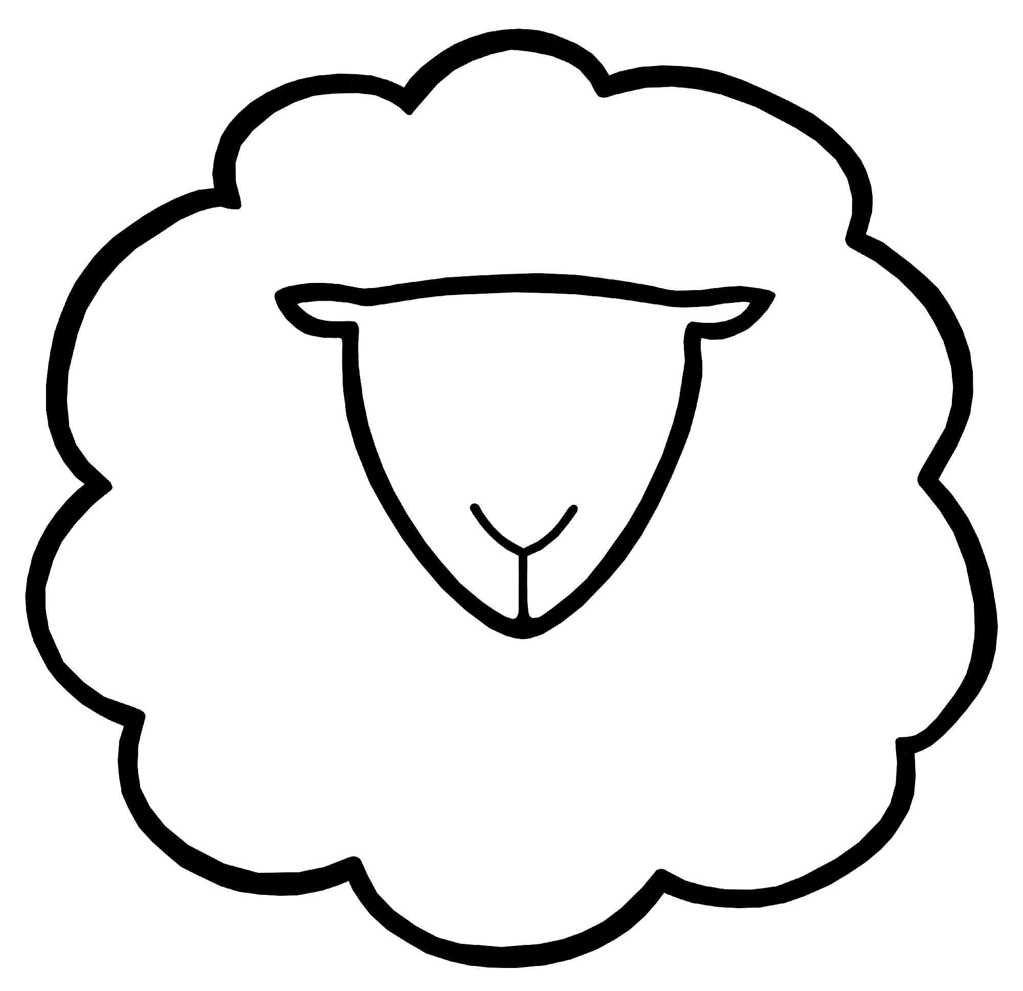 image of a little white sheep with a white head